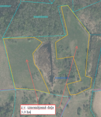 Zemes vienības ar kadastra apzīmējumu 60940050482 izvietojuma shēma