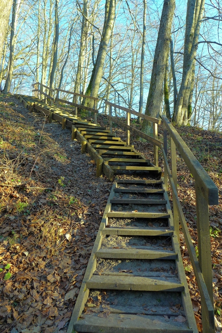 Koka kāpnes Adamovas dabas takā